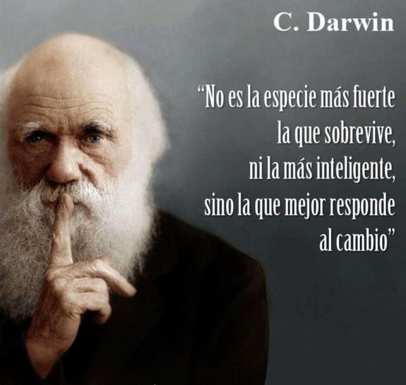 no es la especie mas fuerte la que sobrevive.jpg